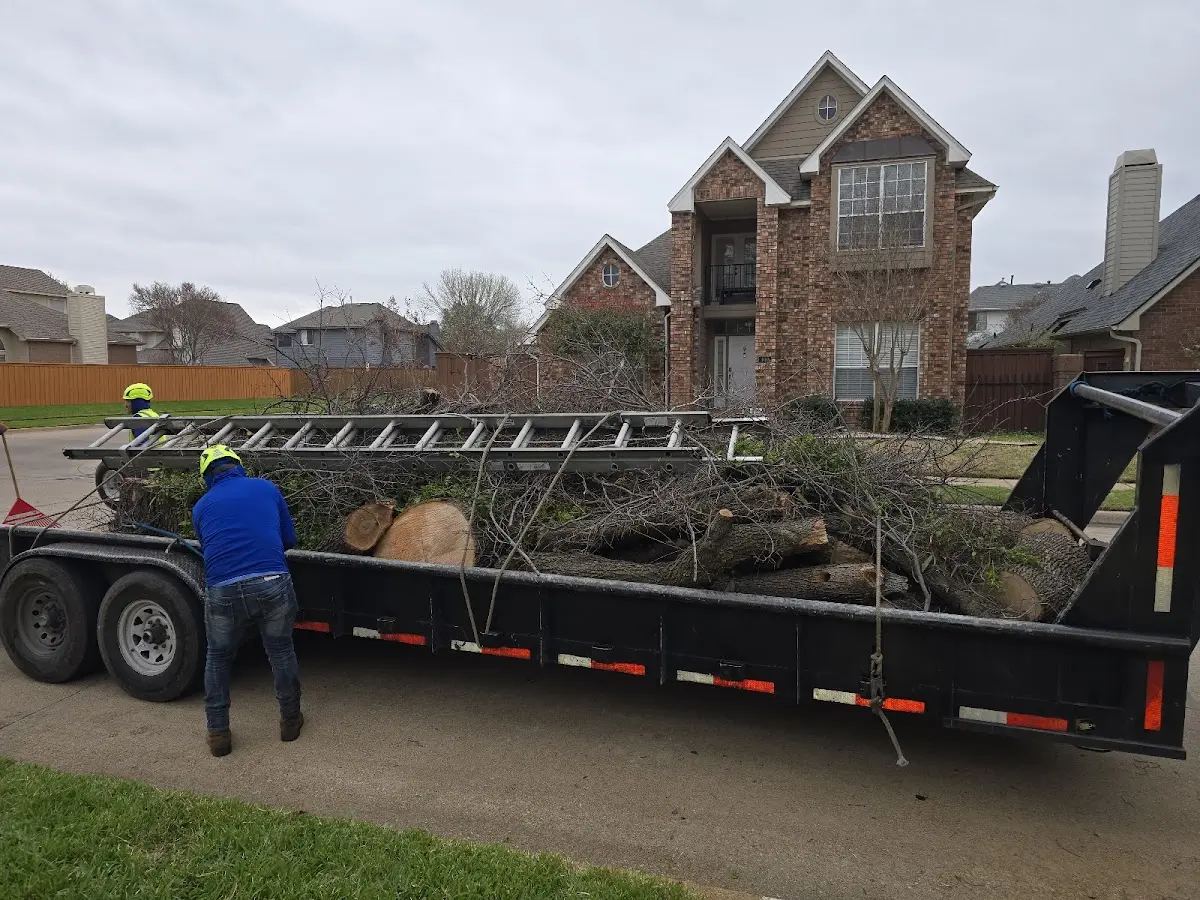 Expert Tree Fertilization with proper safety equipment in Alturas